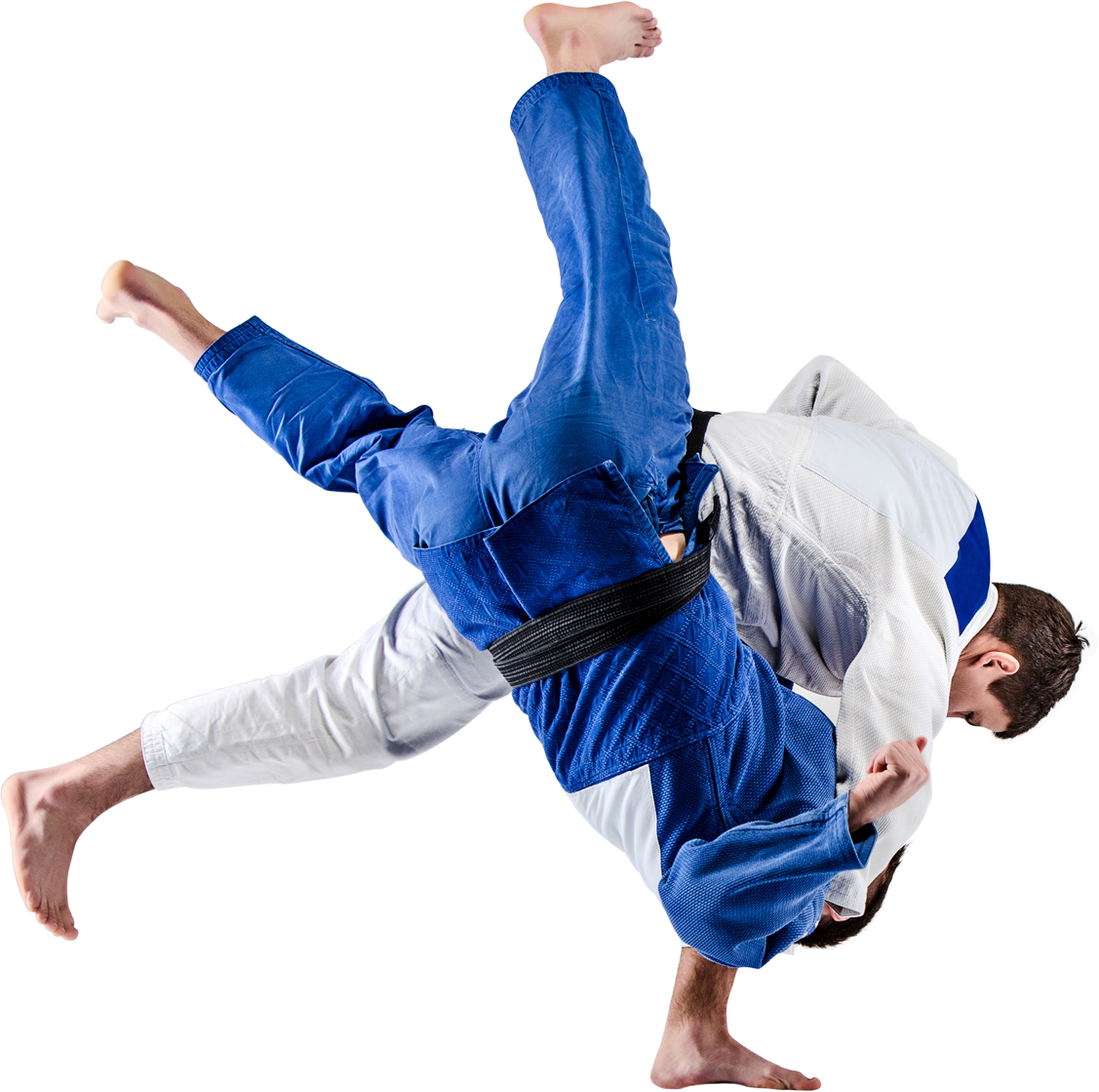 judo icon